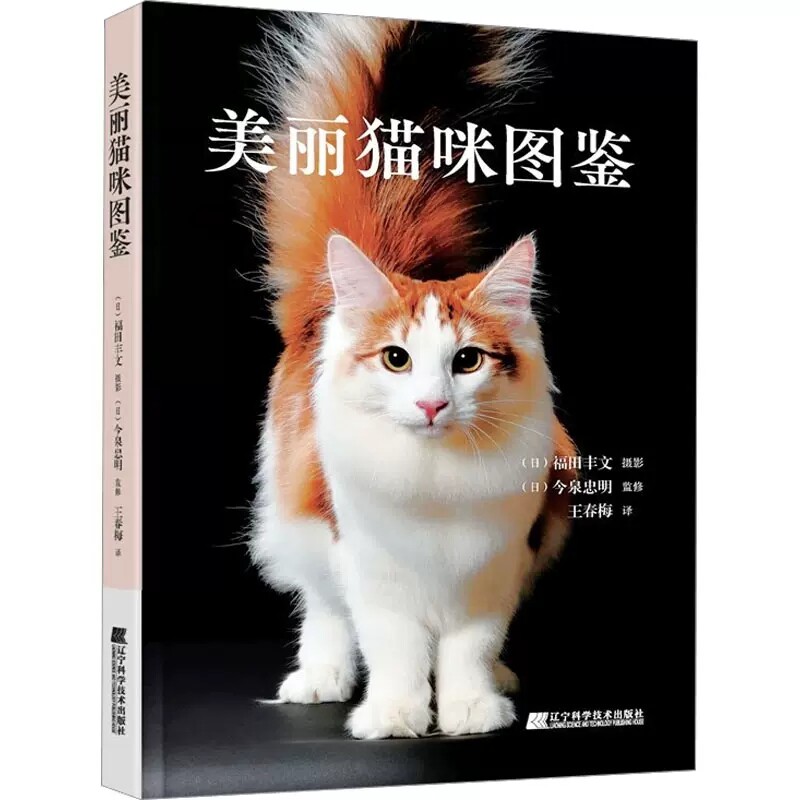 人气猫种珍稀猫常见小猫特征习性 宠物猫咪品种种类大全关于猫的冷