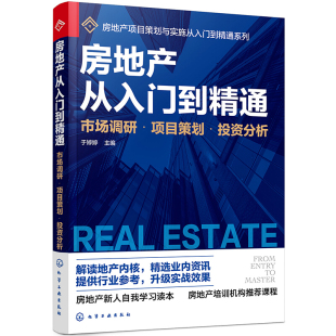 项目策划 市场调研 投资分析 于婷婷 企业投资风险分析评估市场营销书 正版 房地产项目策划与实施书籍 房地产从入门到精通