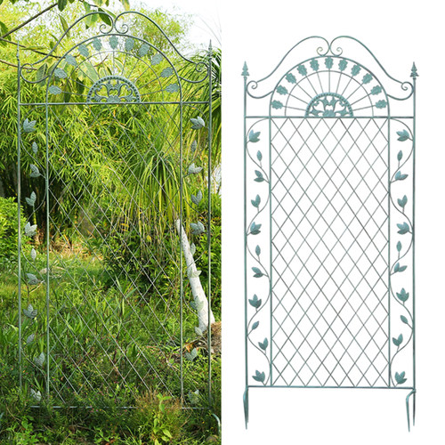 铁线莲网格爬藤架户外