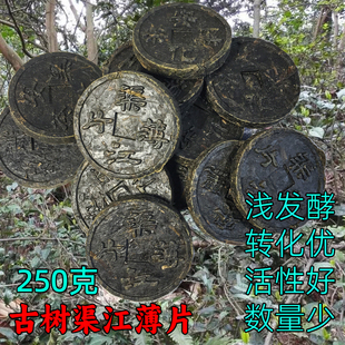 湖南安化黑茶正宗古树野生大叶250g渠江薄片直泡散装农家纯料半斤