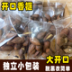 称重袋装 新货2025诸暨枫桥特产开口老树香榧子独立小包装 散装