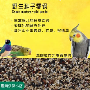 鹦鹉杂货小店自配小型鹦鹉文鸟珍珠鸟种子零食奖励混粮伴侣