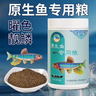 鱼玹玑原生鱼饲料溪流鱼鳑鲏下沉发色鱼食虾虎长鳍鱲宽马口专用粮