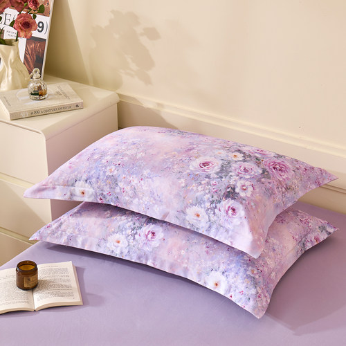 2025秋冬新款100%新疆全棉纯棉磨毛加厚保暖单人枕头套一对装枕套