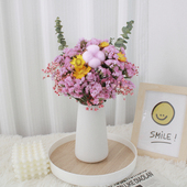 云南真花干花花束满天星北欧家居桌面装 饰风干勿忘我摆件插花花艺