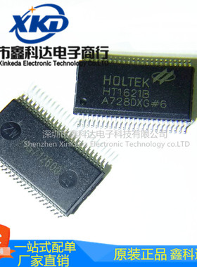 全新 HT1621B LED驱动器芯片 RAM映射 封装SSOP-48
