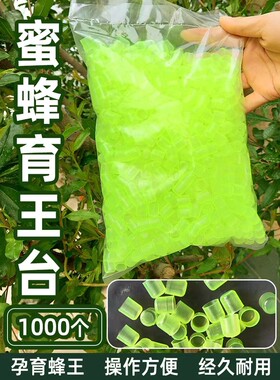 单个王台蜜蜂育王台王台杯人工培育蜂王台基意蜂蜡碗养蜂工具包邮
