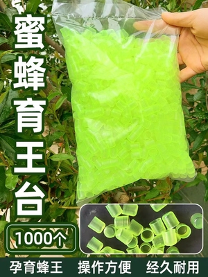 单个王台蜜蜂育王台王台杯人工培育蜂王台基意蜂蜡碗养蜂工具包邮