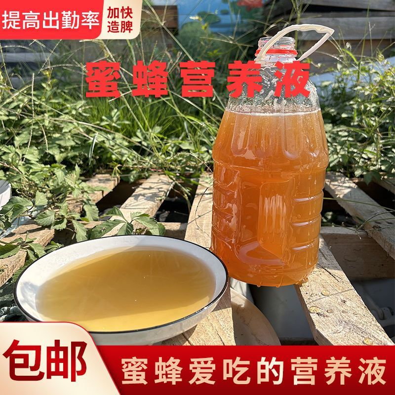 蜜蜂越冬繁蜂口粮蜜喂蜂营养液