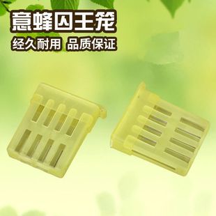 意蜂专用囚王笼 塑料王笼 意蜂蜂王笼子 关王笼 控王介王养蜂工具