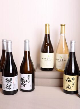 装饰仿真酒摆件样板间日式酒柜橱柜家居软装拍摄道具清酒陈设假酒