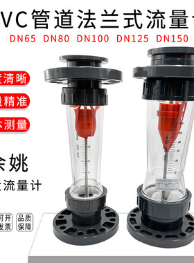 PVC管道法兰式转子流量计LZS-DN65 80 100 125 150浮液体污水处理