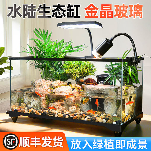 生态乌龟缸水陆两栖造景混养鱼缸