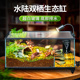 乌龟饲养缸超白玻璃生态水陆两栖鱼缸底排造景巴西草龟带防逃盖子