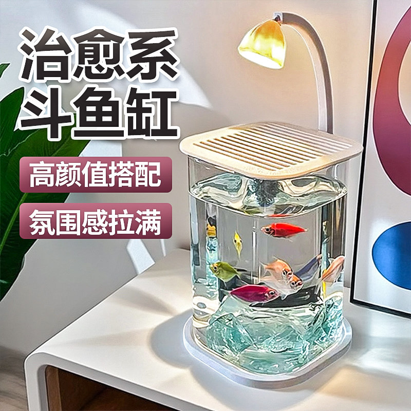 创意斗鱼生态养鱼缸小型网红造景桌面观赏小夜灯装饰玻璃缸适用缸