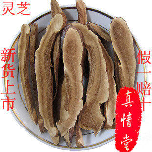 中药材长白山灵芝 灵芝片 灵芝切片 紫灵芝 新货 泡酒泡.500g