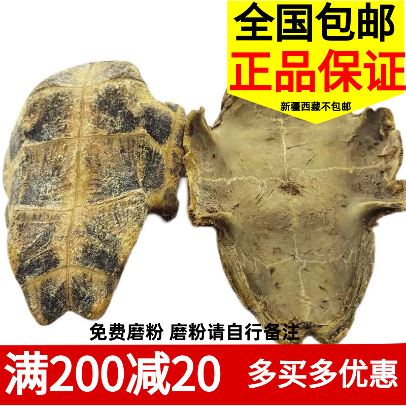龟板中药用中华草龟外塘龟生晒龟苓膏药引龟甲下半边干货煮汤包邮