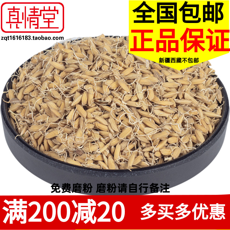 蘖米、谷、稻蘖、稻芽 稻谷芽 谷芽500克包邮