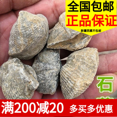 石燕500克 中药材石燕 燕石子 燕子石 水飞石包邮店有磁石 灶心土