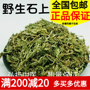 野生石上柏500g克中药材石上柏中草药石柏新鲜干货地柏草地侧柏叶