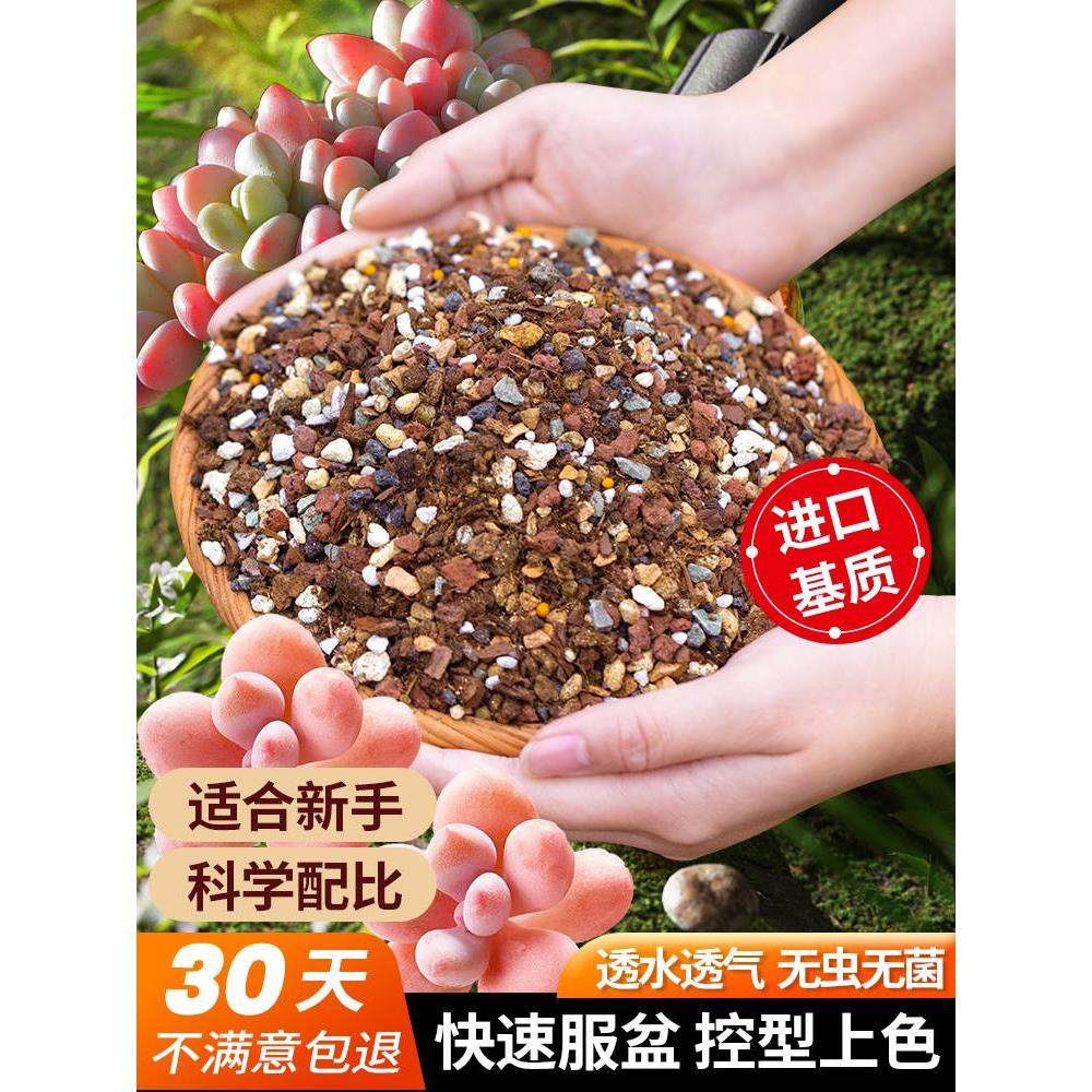 多肉专用颗粒营养土 铺面石纯颗粒进口泥炭土种植土壤虹彩石 老桩
