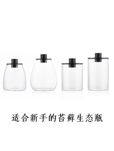 新手苔藓瓶微景观桌面自循环造景生态瓶玻璃瓶养苔神器