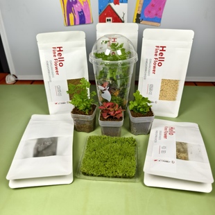 咖啡杯苔藓微景观材料包（适用于直径10cm高15-20cm的容器）