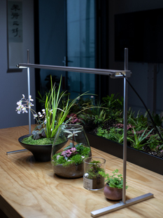 微景观苔藓食虫植物专用灯具灯管灯条生态灯光轴灯diy