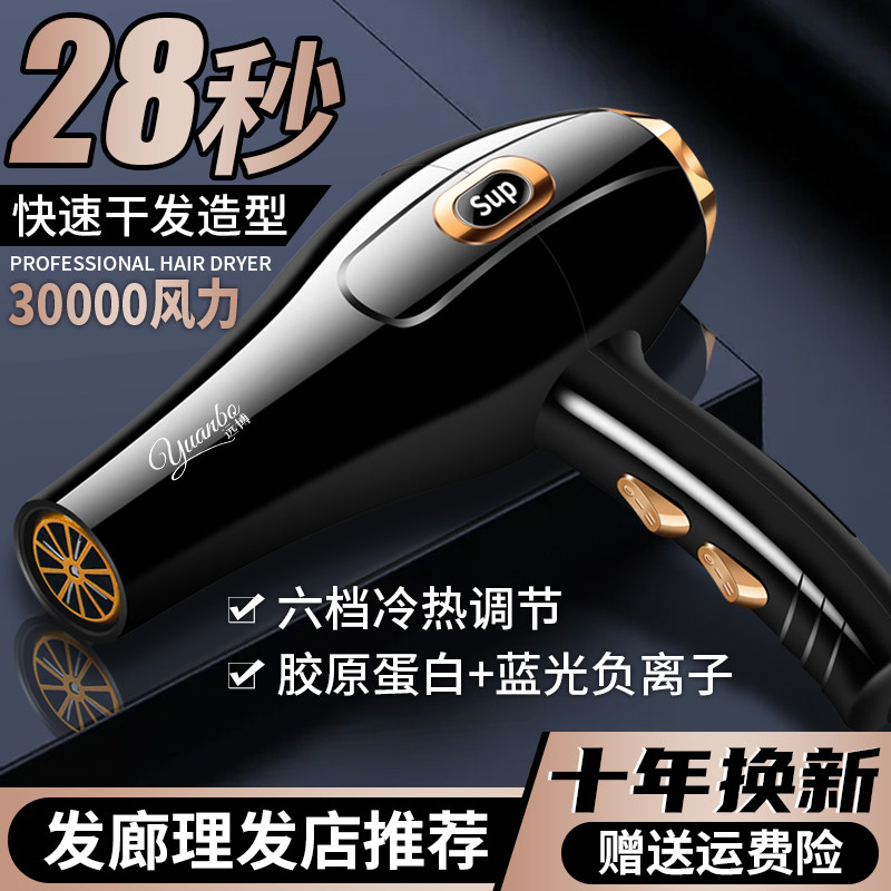 德系吹风机家用负离子速干大功率发廊大风力发型师专用电吹风宿舍