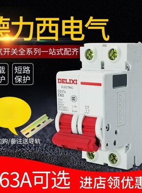 德力西空气开关32A家用100A空开DZ47s 2p 63A 40A小型断路器220V