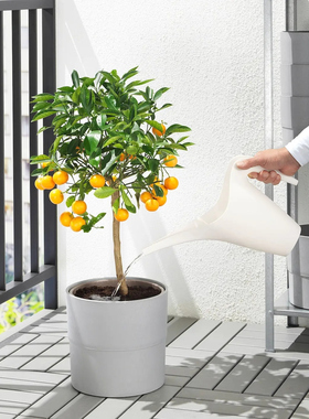 宜家代购洒水壶浇花壶喷壶塑料壶长嘴浇水壶园艺工具PS2002神器