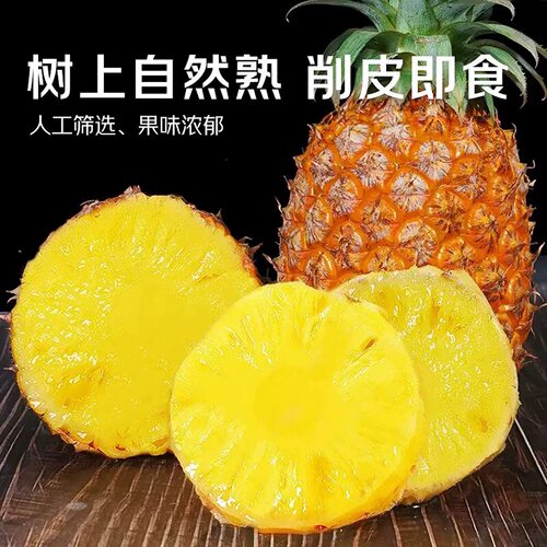 海南金钻凤梨新鲜水果当季树上熟现摘
