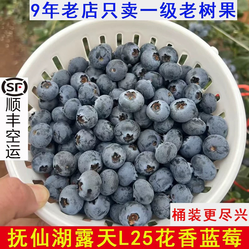 蓝莓桶装 吃着更过瘾，顺丰空运秒杀价格,水产肉类/新鲜蔬果/熟食,蓝莓,淘宝优惠券,粉丝福利购,淘宝优惠卷