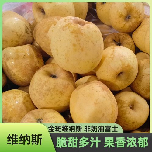 维纳斯脆甜苹果纯甜无酸果香味浓一级果