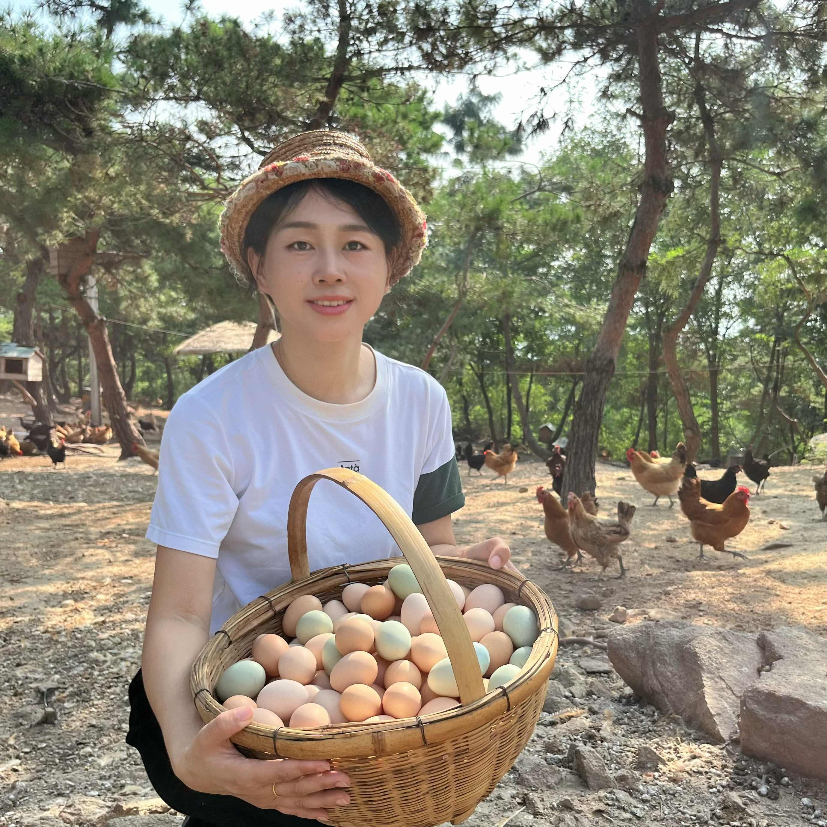 跑山鸡散养土鸡蛋新鲜现捡五谷杂粮草窝走地鸡防震包装（京东顺丰