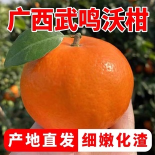 正宗广西沃柑 化渣好 甜度高