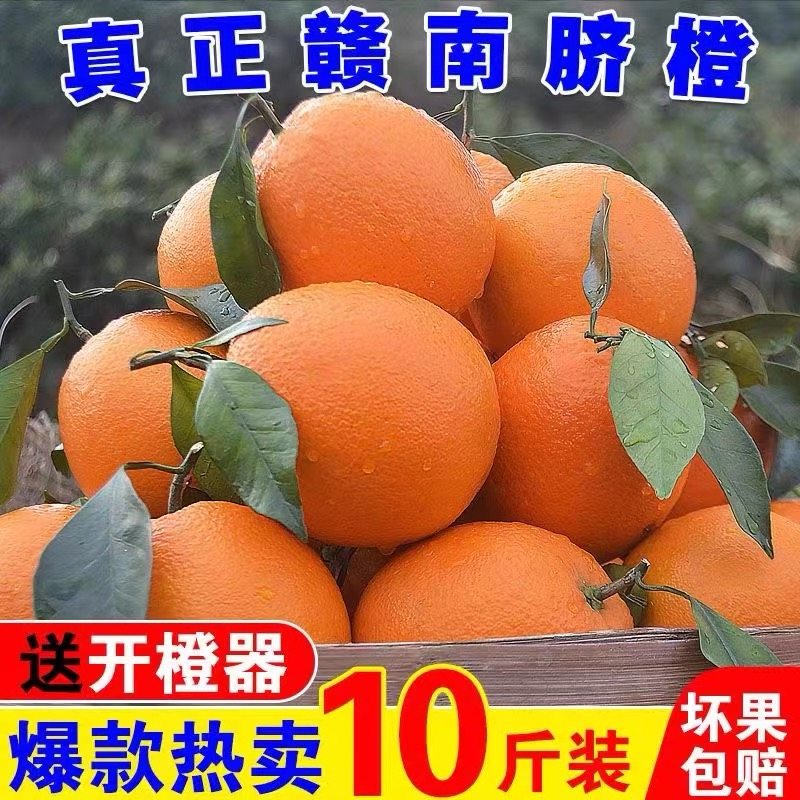 京东快递送货上门正宗赣南脐橙果味浓郁口感好中果