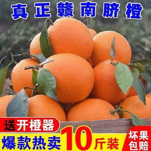 稀土地超甜赣南脐橙果味浓郁糖度15+中果