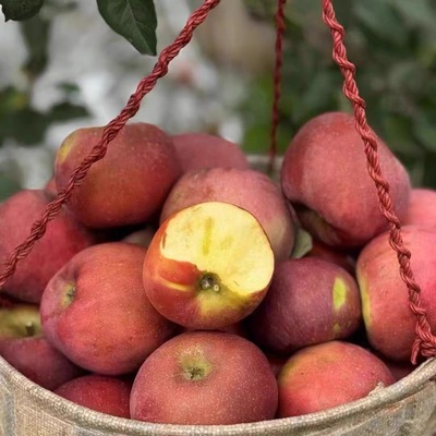 大凉山冰糖心丑苹果（占比70%）脆甜好吃（轻微碰伤可以吃不售后