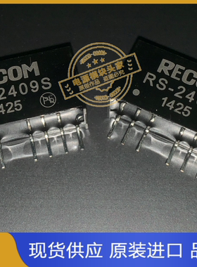 RS-2405S  RS-2409S RS-2412S 供应
