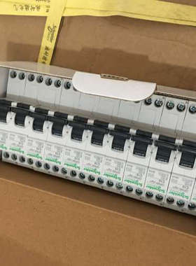 917354 16A 1P+N RCBO 10A 30MA 1P+N MUitI 9 支持验货