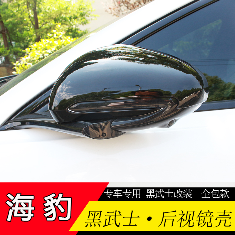 比亚迪海海豹黑武士全包不露白