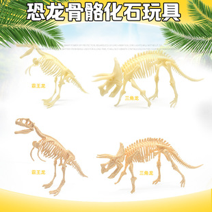 跨境仿真恐龙骨骼模型玩具 三角龙骨架骨骼模型地摊益智玩具