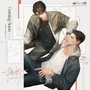 【官方正版】 撒野 二期 56度 愿望 听雪系列原著衍生周边徽章