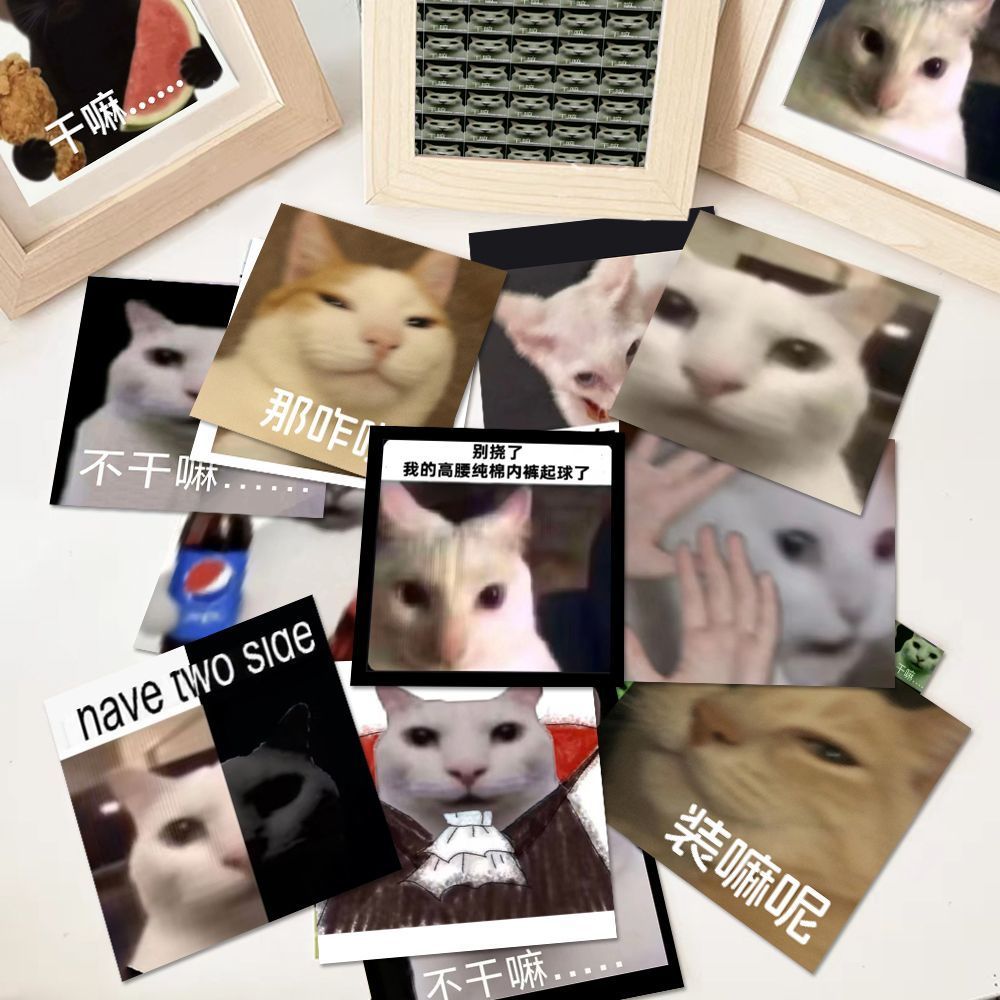 126张猫猫meme梗图贴纸创意趣味抽象搞笑可爱猫猫表情包装饰diy贴