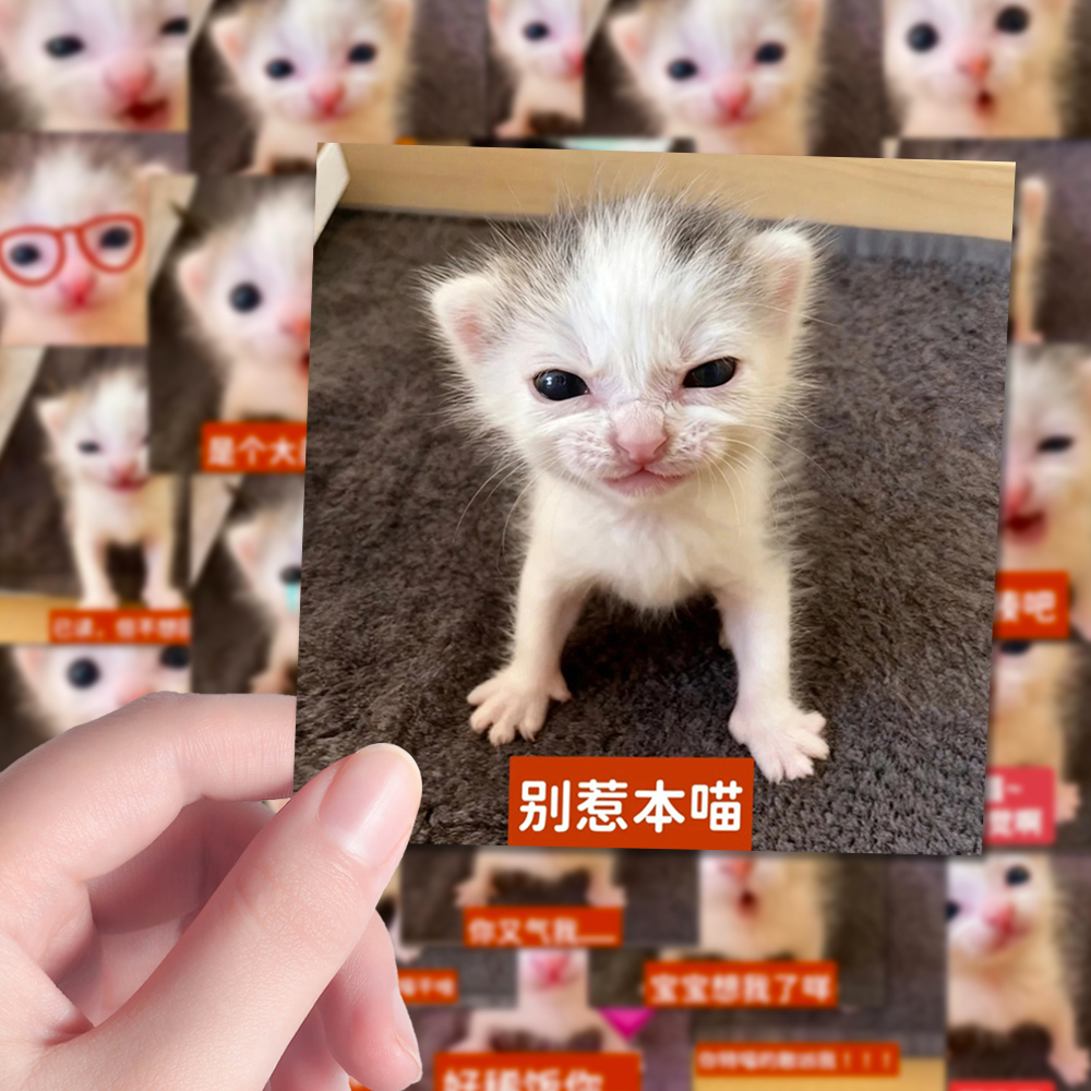 160张网络爆款卡通可爱小奶猫meme趣味表情包创意梗图手机壳贴纸