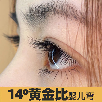 MTP假睫毛云朵单根婴儿弯扁毛黑色黑茶棕色超软无感美睫店专用