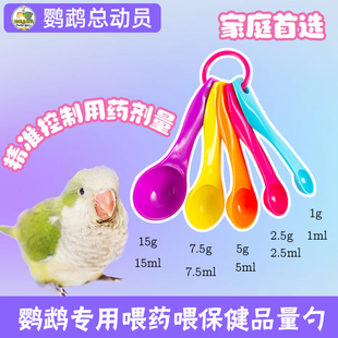 鹦鹉鸟类专用药勺/量勺药粉勺精准控制用药剂量1克5克