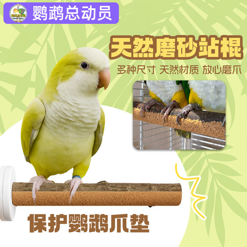 鹦鹉站杆磨砂磨爪鸟笼站架站棍树枝新款出口级核桃砂中大型鸟玄凤