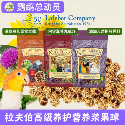 拉夫伯零食球 高级营养配方浆果球 Lafeber 进口鹦鹉零食鸟食互动